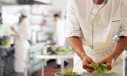 Chef Using Dill Chef Using Dill --- Image by © Tim Pannell/Corbis
